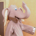 elefante_g.jpg